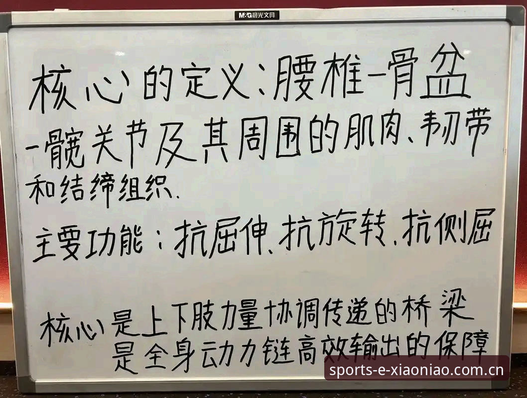小鸟体育功能全解析：资深用户分享的5个实用心得